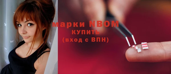 Альфа ПВП Верея