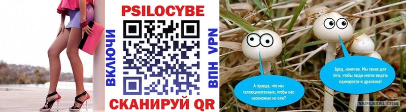 Псилоцибиновые грибы мухоморы Дедовск