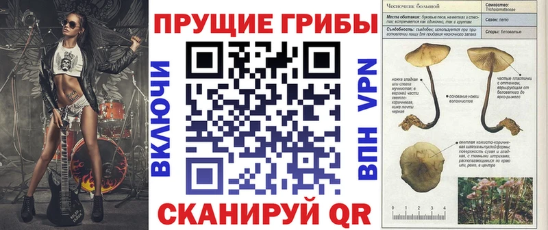 Галлюциногенные грибы мицелий  Купить закладки  Дедовск 