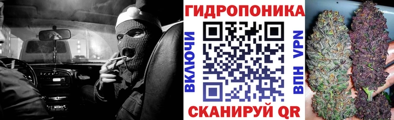 Бошки марихуана SATIVA & INDICA  Купить  Дедовск 